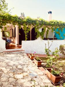 une maison avec des plantes en pots sur une terrasse dans l'établissement Villa Stella, à Torre delle Stelle