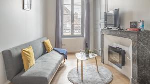 een woonkamer met een bank en een open haard bij Preize Serenity Suite 2 - Hypercentre - 2 pers. in Troyes