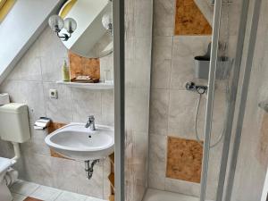 ein Bad mit einem Waschbecken und einer Dusche in der Unterkunft Landhaus am Schaalsee in Zarrentin