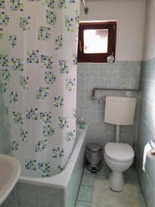 a bathroom with a toilet and a shower curtain at Lana apartman Pijavice in Jajce +6 photos