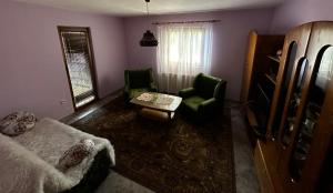 un soggiorno con un divano, una sedia e un tavolo di Seosko turističko domaćinstvo DUNJA a Osnić