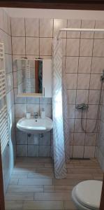 a bathroom with a sink and a shower at Parraghegy Apartman in Zalaszántó