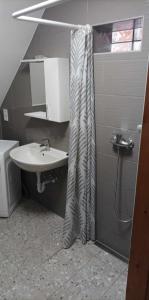 baño con lavabo y cortina de ducha en Parraghegy Apartman, en Zalaszántó
