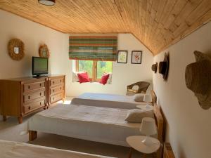 a bedroom with two beds and a television and a window at Dom Mossa in Stara Rzeka