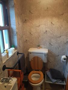 a bathroom with a toilet and a sink at Willow Cottage Accommodation in Sligo