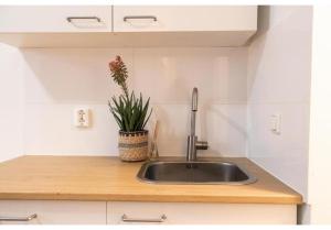um lavatório de cozinha com uma planta em vaso num balcão em Tilburg City, New Rooms And A Kitchen em Tilburg