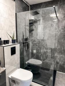 a bathroom with a toilet and a glass shower at Apartament Wierzbowy in Jelenia Góra