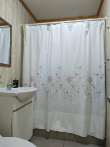La salle de bains est pourvue d'un rideau de douche et d'un lavabo. dans l'établissement Cabaña Refugio Alta Cordillera Tulahuén 8 personas, à Piedra Lisa