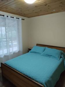 Schlafzimmer mit einem Bett mit blauer Bettwäsche und einem Fenster in der Unterkunft Cabaña Refugio Alta Cordillera Tulahuén 8 personas in Piedra Lisa