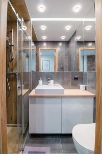 een badkamer met een wastafel, een douche en een toilet bij Pracownia Pod Kominem in Poznań