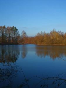 a large body of water with trees in the background at Ferienhaus mit Seeblick in Templin
