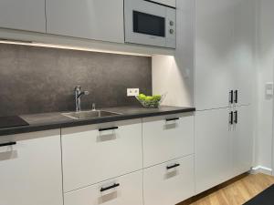 Kuchyň nebo kuchyňský kout v ubytování Volta apartment in Kalamaja