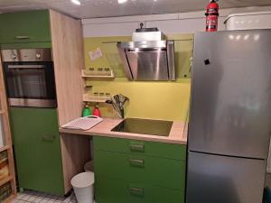 a kitchen with green cabinets and a stainless steel refrigerator at Lianes Feriendomizil Fewo in Niedernjesa - Friedland in Friedland