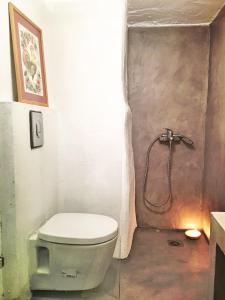 a bathroom with a toilet and a shower at Pelion country house in Volos +3 photos