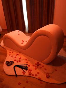 羅亞爾河畔普伊的住宿－Romance dans les vignes，一张红椅,坐在地毯上