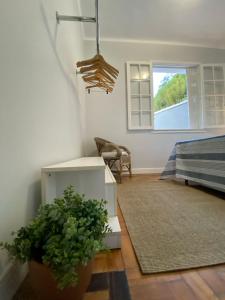 a living room with a bed and a potted plant at Casa da Varanda Próximo Centro in Petrópolis