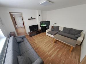 a living room with a couch and a tv at Karolinka Radějov in Radějov