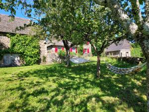 a hammock in a yard with trees and a house at En pleine nature cantalienne et au calme village , Maison confortable et spacieuse pour 9 pers in Vezels-Roussy