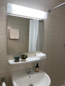 a bathroom with a sink and a mirror at Apartment, Monteurwohnung mit ruhiger Terrasse in Worms in Worms