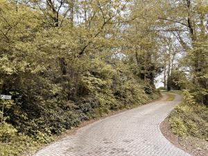 una carretera adoquinada con árboles a ambos lados en Villa Überblick, en Nalbach