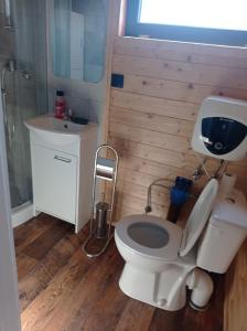 a bathroom with a white toilet and a sink at Domek mobilny nad rzeką Gdańsk in Gdańsk