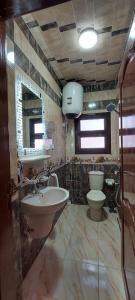 a bathroom with a sink and a toilet at شقة مكيفة مفروشة بالكامل فرش جديد بالمنصورة in Mansoura