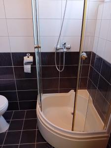 a bathroom with a shower and a toilet at Apartman Peace 3 in Međugorje