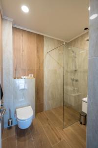 a bathroom with a toilet and a glass shower at ALIVE HOTEL in Oradea