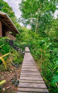 Zahrada ubytování La Shamana - Ecological Concept in Jungle