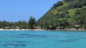 a view of a beach from a boat in the water at MOOREA - Tropical Nest in Hauru