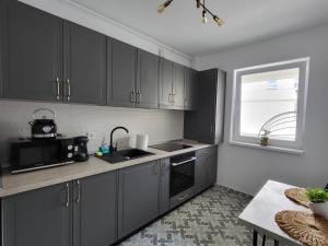 a kitchen with gray cabinets and a sink and a window at Iris Cozy Flat in Alba Iulia