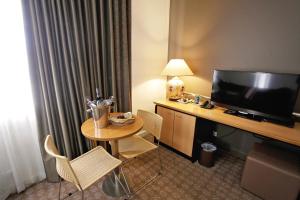 TV a/nebo společenská místnost v ubytování Golden Pebble Hotel