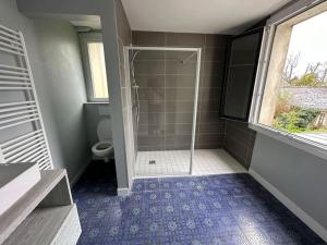 a bathroom with a shower and a toilet at Maison centre historique in Bayeux