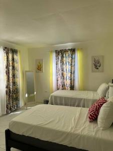 - une chambre avec 2 lits et 2 fenêtres dans l'établissement Ottie-Newly Renovated, 5 min from beach, à Saint James