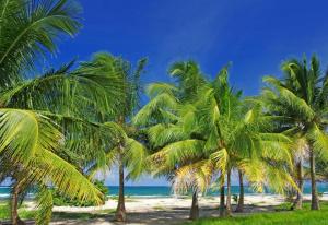 Φυσικό τοπίο κοντά σε αυτό το διαμέρισμα