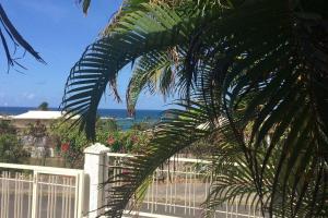 Φυσικό τοπίο κοντά σε αυτό το διαμέρισμα +6 φωτογραφίες