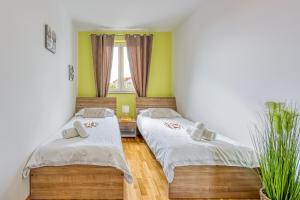 two beds in a room with green walls at Apartments Erna & Max in Rovinj