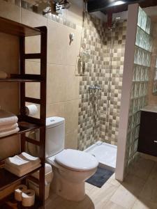 a bathroom with a toilet and a shower with a shower at Casa Rural Tamaide in San Miguel de Abona