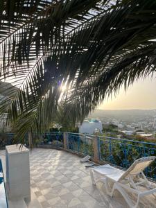 eine Terrasse mit 2 Stühlen und einer Palme in der Unterkunft Mille ou une nuit in Tunis