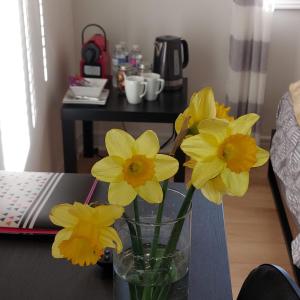 Imagen de la galería de Nimo Homestay, en Guelph 19 fotos más