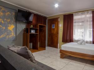 Coati Arenal Lodge في فورتونا: غرفة نوم بسرير واريكة وتلفزيون