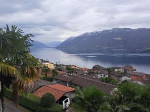 Foto dalla galleria di Rustico Tecett a Brissago