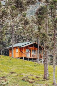 a wooden house on a hill with trees at Sítio caminho das nascentes in Urubici