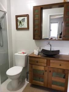 W łazience znajduje się toaleta, umywalka i lustro. w obiekcie Aconchego em Criciúma/SC w mieście Criciúma