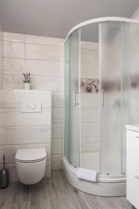 ein Bad mit einer Dusche und einem WC in der Unterkunft Rooms Anna in Trogir