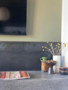 Fotografie z fotogalerie ubytování Stackbrae Lodge v destinaci Wanaka