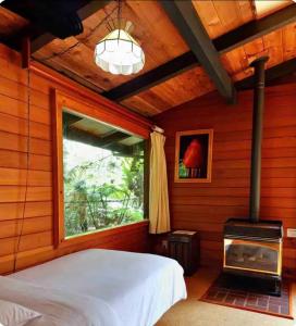 a bedroom with a bed and a wood stove at The Pacifica Inn in Volcano