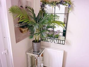 a room with a mirror and plants on the wall at Entire 3 Bed Home in Oldham in Oldham