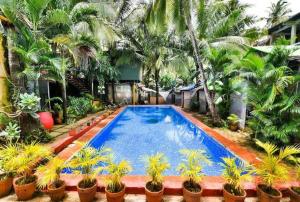 a swimming pool in front of a house with palm trees at Moon Bliss in Mandrem