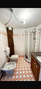 ein Bad mit einer Dusche, einem WC und einem Waschbecken in der Unterkunft Maison L’Abri in Introd